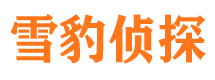 陆川外遇出轨调查取证